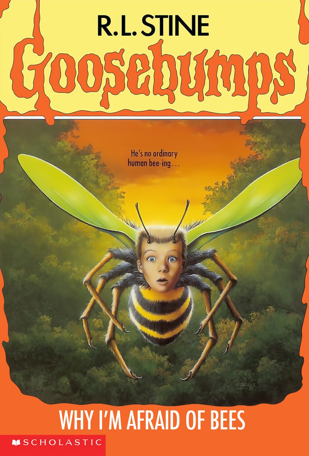Why I'm Afraid of Bees