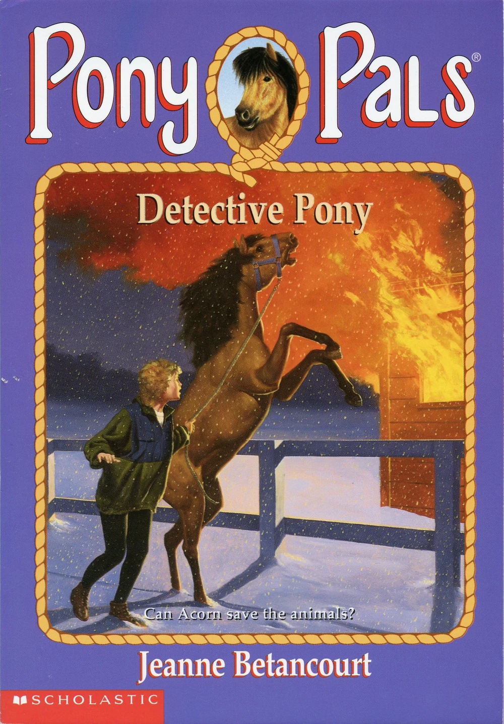 Detective Pony