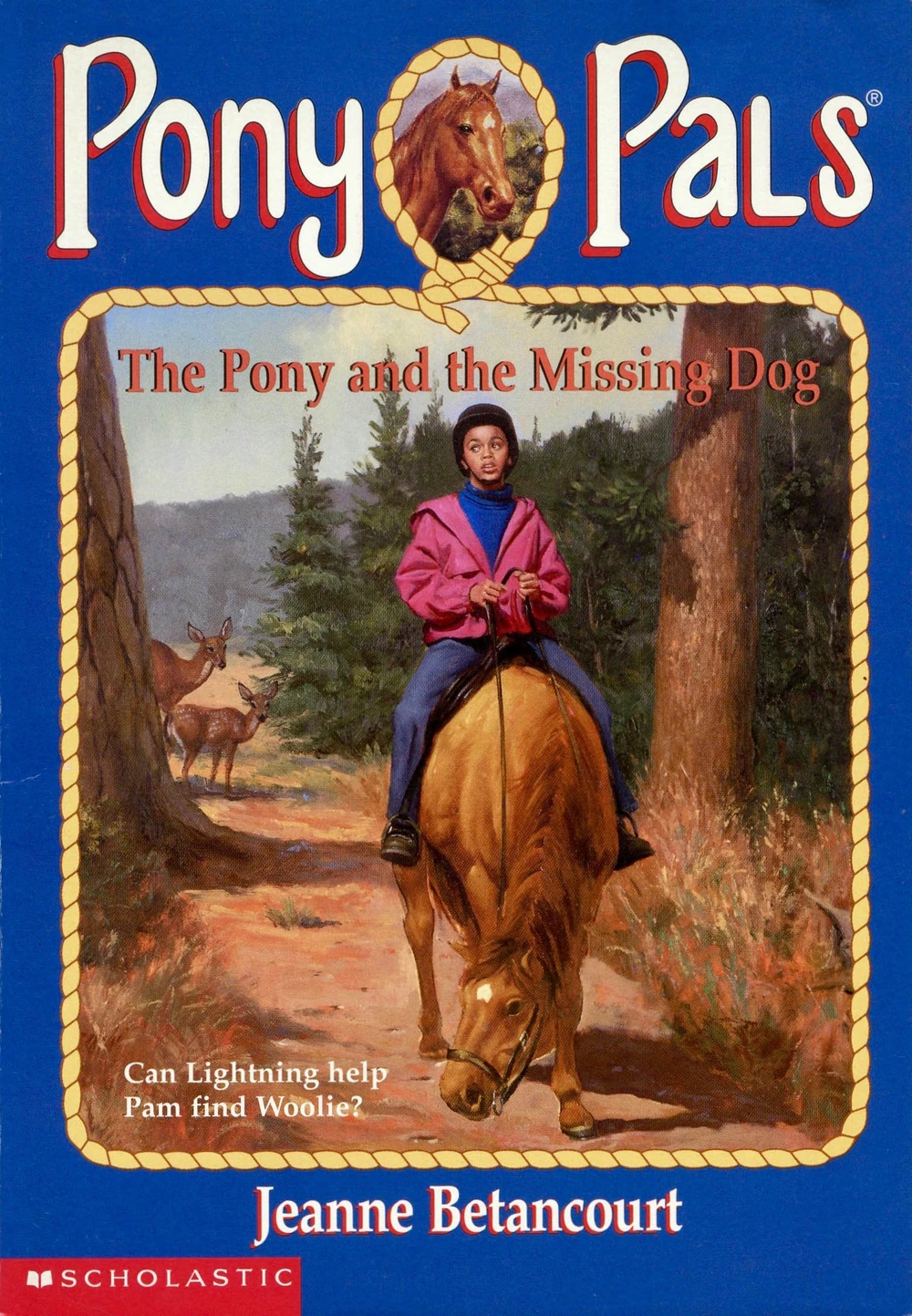 The Pony and the Missing Dog