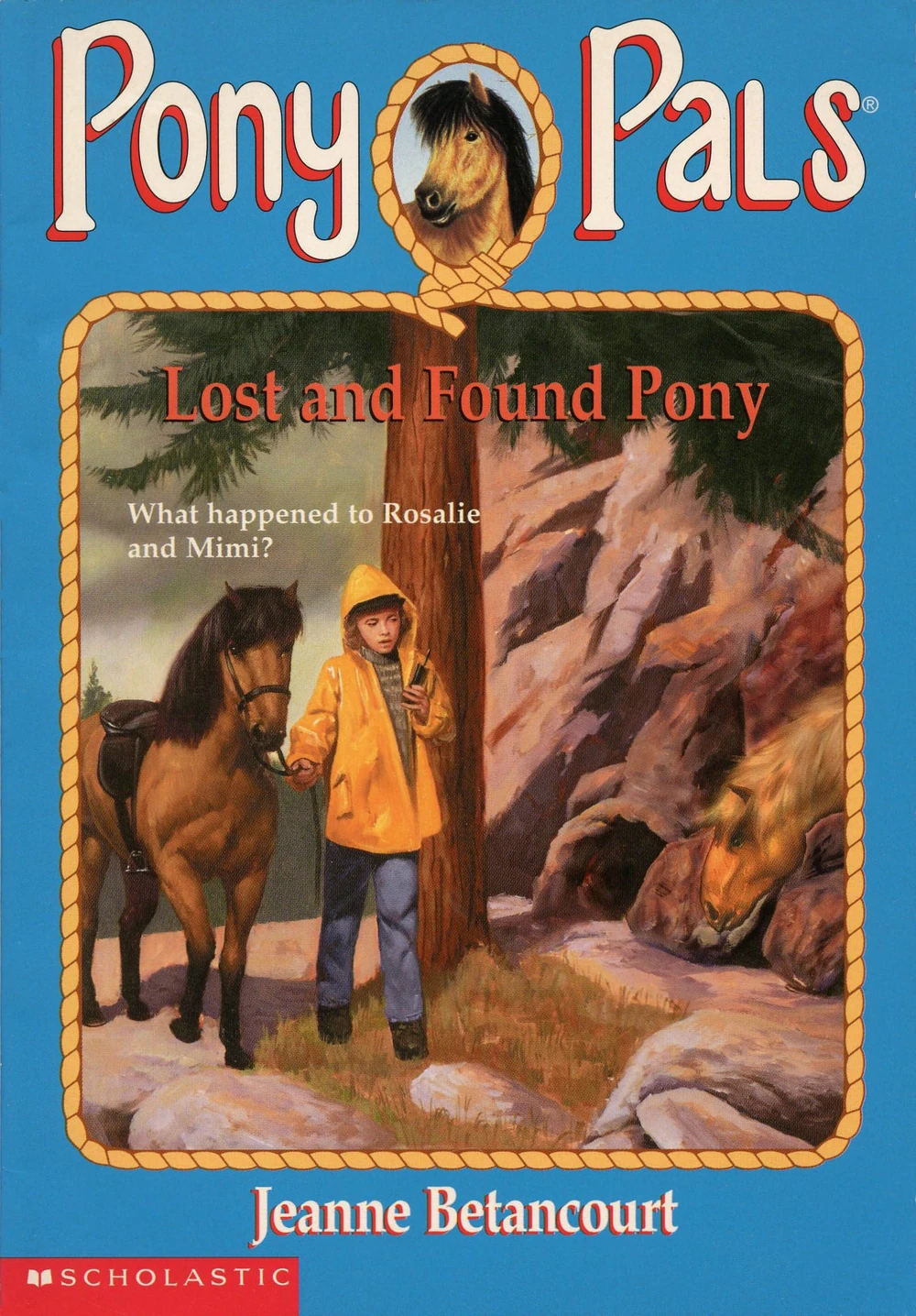 Lost and Found Pony