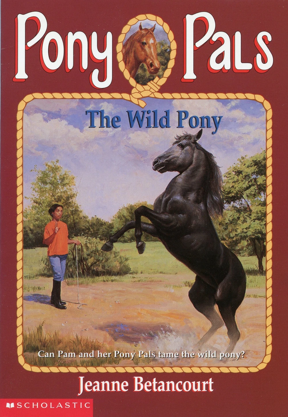 The Wild Pony